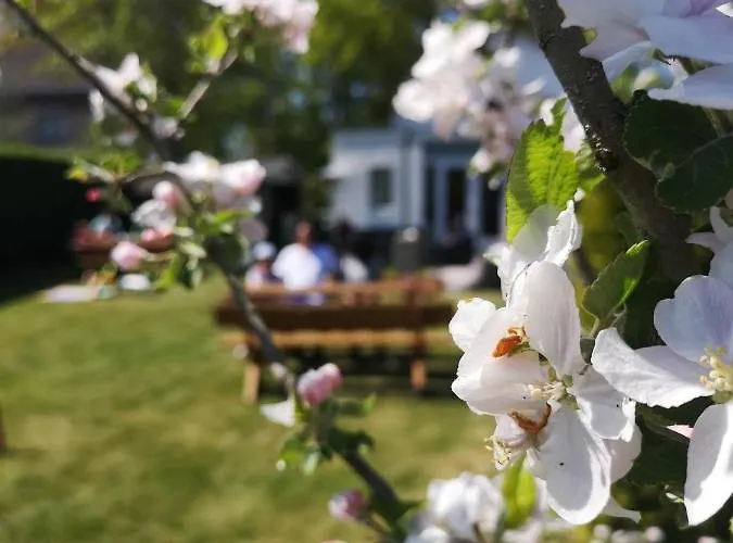 B&B De Koffietuin